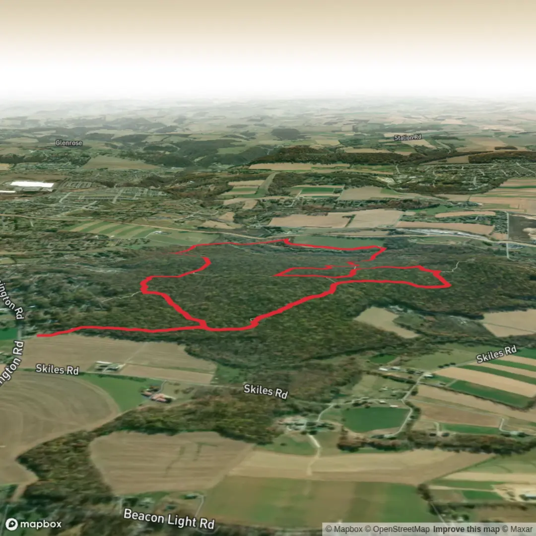An image depicting the trail Sadsbury Woods Preserve Purple Loop and its surrounding area.