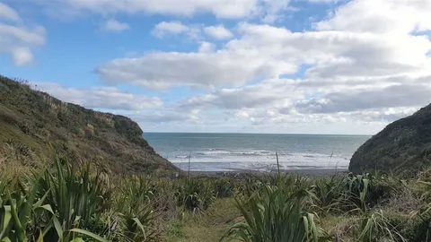 Mount Messenger to Whitecliffs Walkway Track