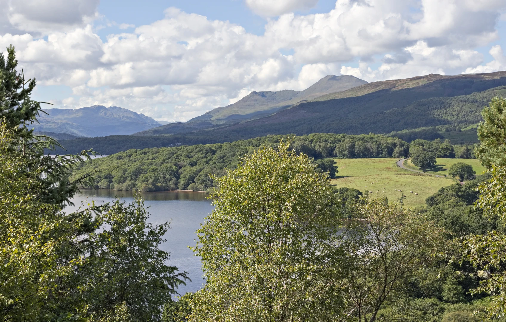 An image depicting the trail Craigie Fort and Arrochymore Point and its surrounding area.