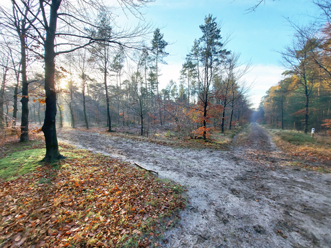 Hoog Zand and Ruiterberg Loop