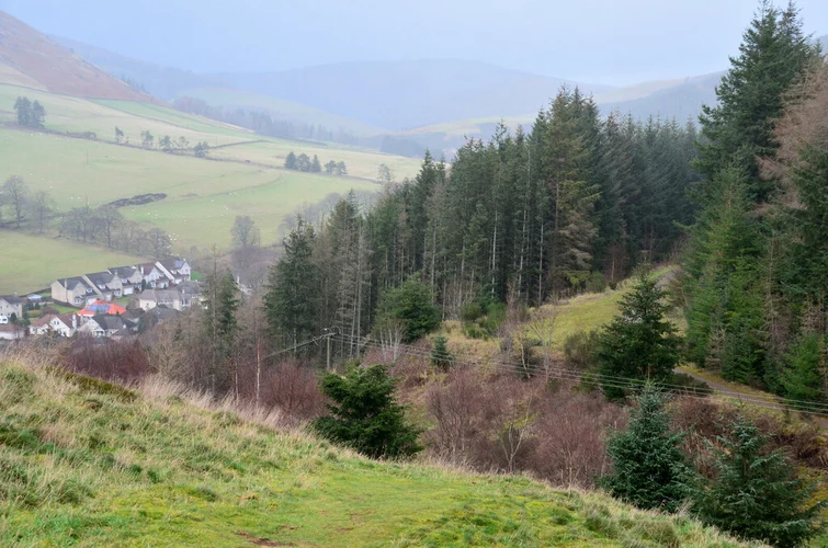Pirn Hill Trail