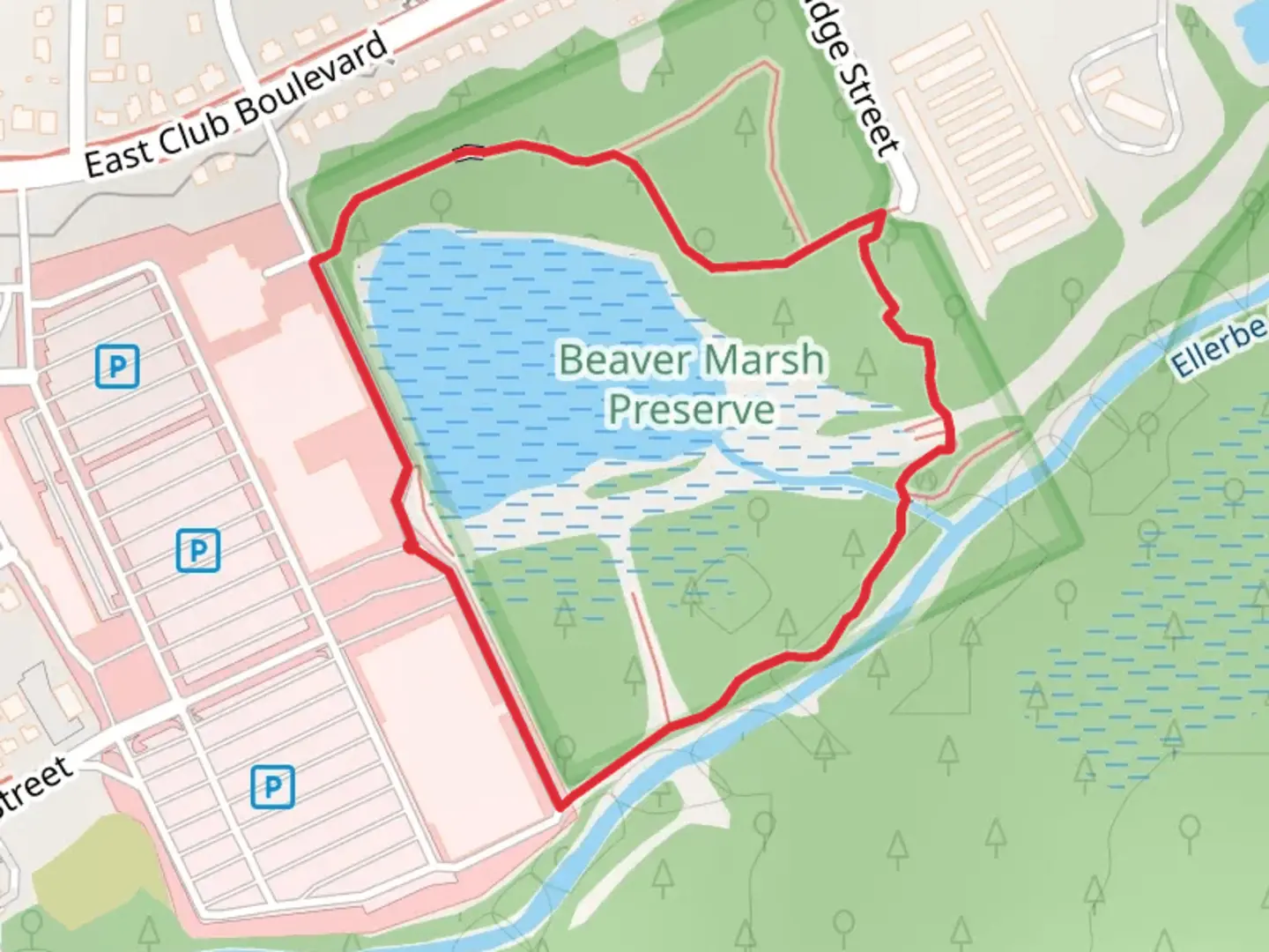 An image depicting the trail Beaver Marsh Preserve Loop and its surrounding area.