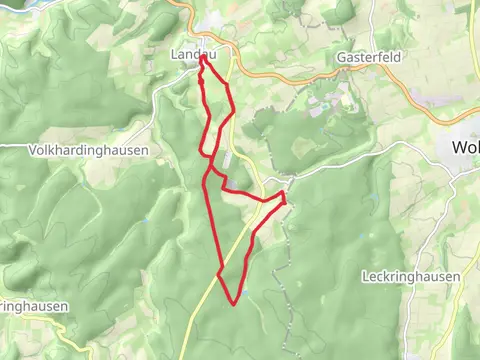 Landau and Bühle Loop