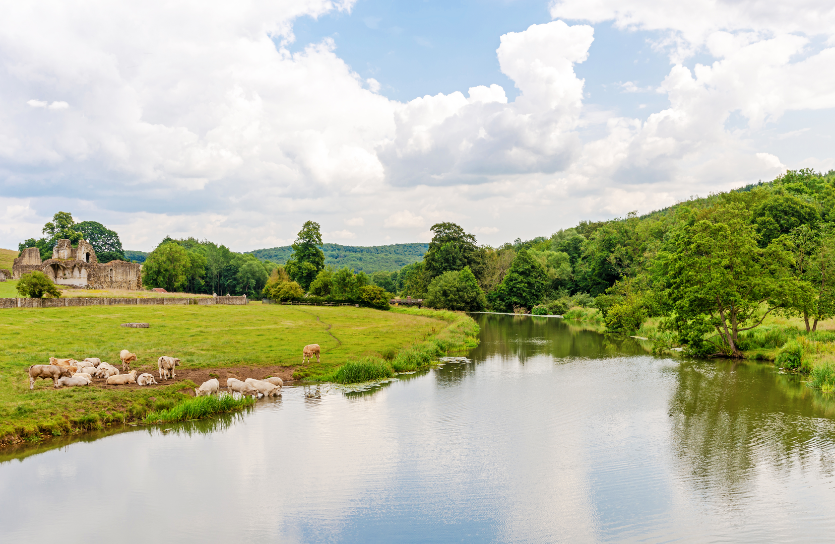 An image depicting the trail Vale of Pickering Loop from Kirkham Priory and its surrounding area.