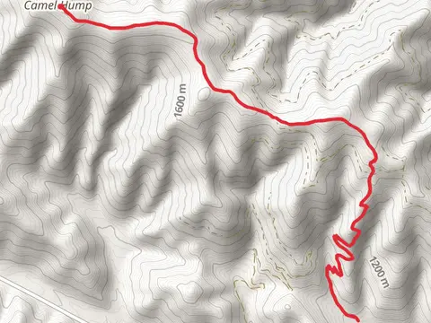 Mayo Gulch Trail