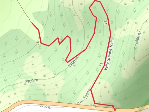 Valle Grande Trail