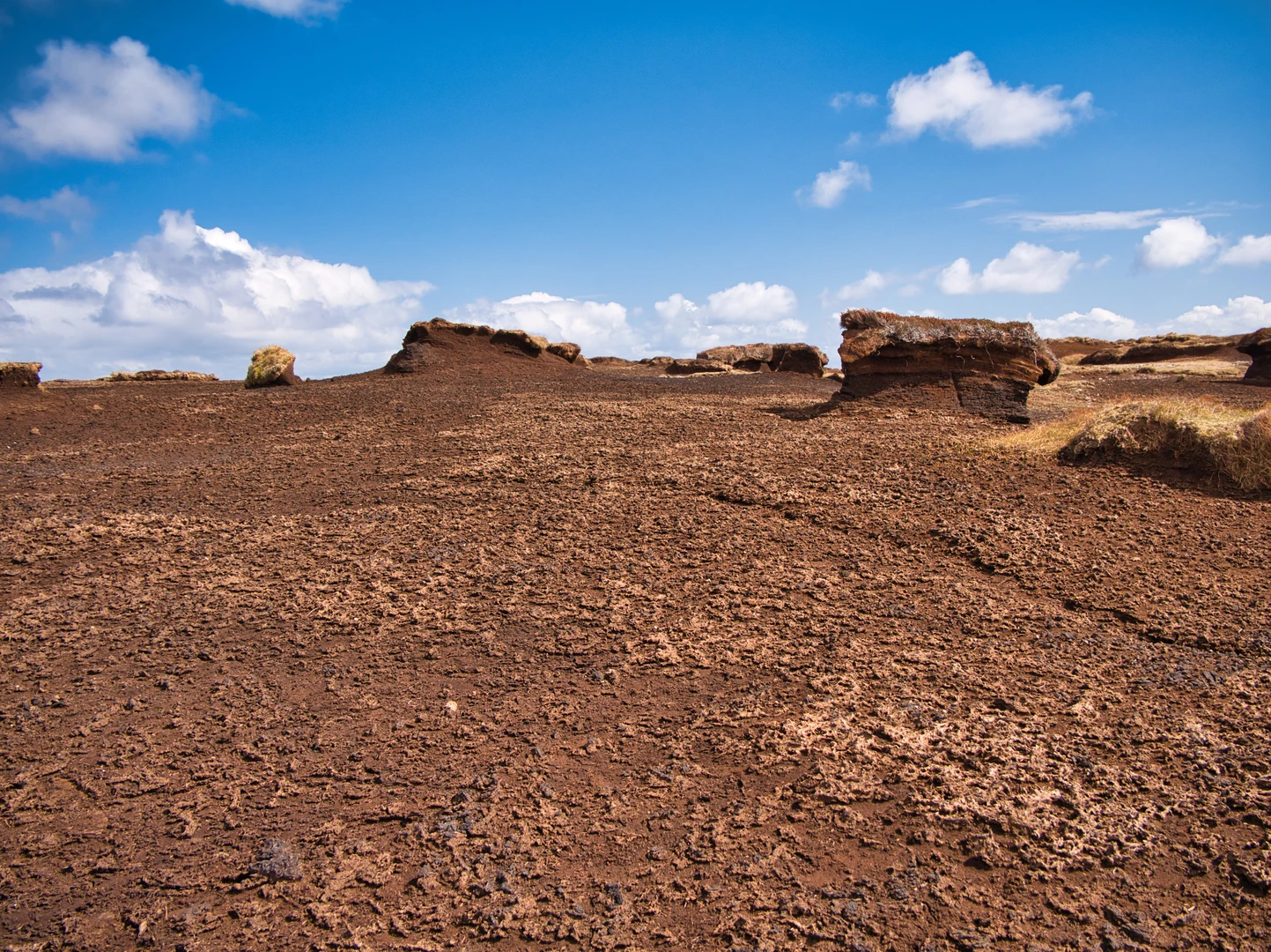 An image depicting the trail West Hill, Ward of Bressay, South Hill, Ovluss Natural Arch and Kirkabister Ness Loop and its surrounding area.