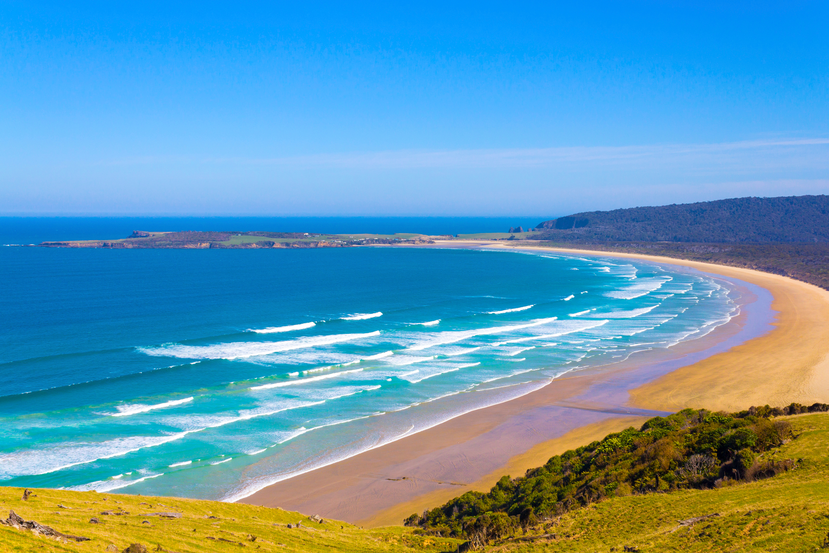 An image depicting the trail Tautuku Bay Walk and its surrounding area.