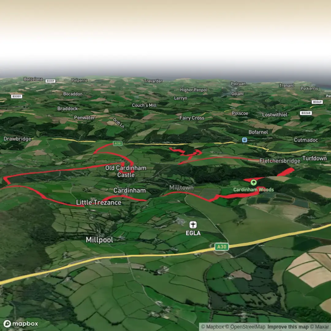 An image depicting the trail Cabilla to Cardinham Circular and its surrounding area.