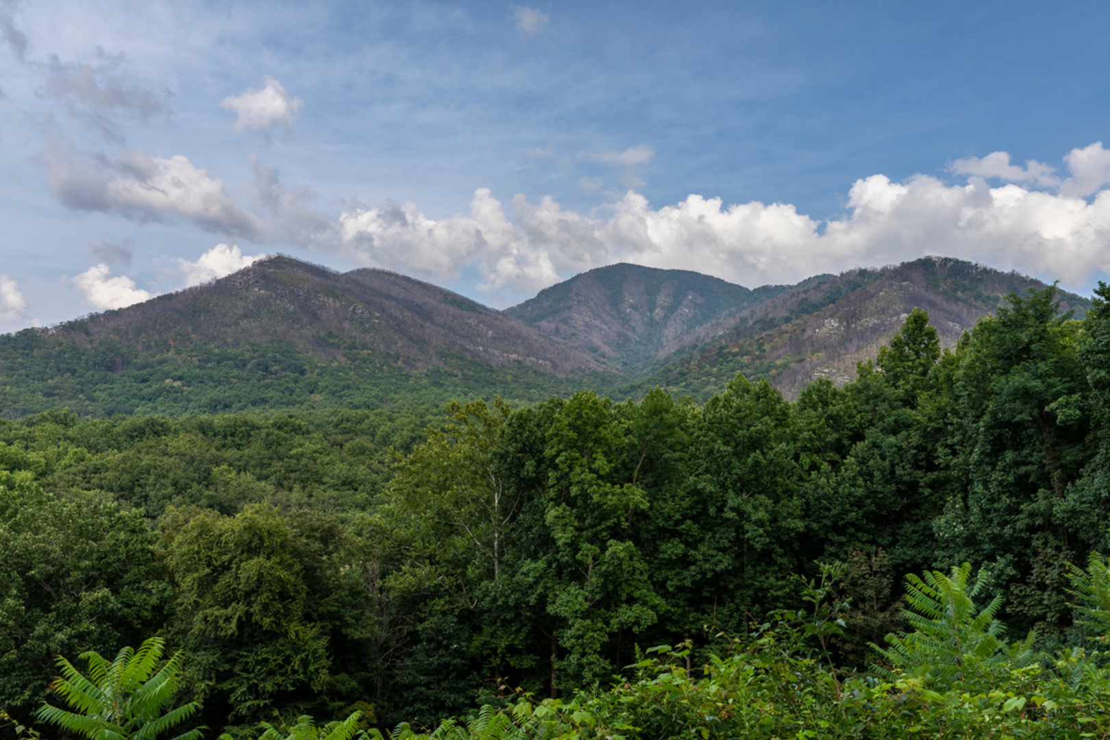 An image depicting the trail Huskey Gap Trail and its surrounding area.