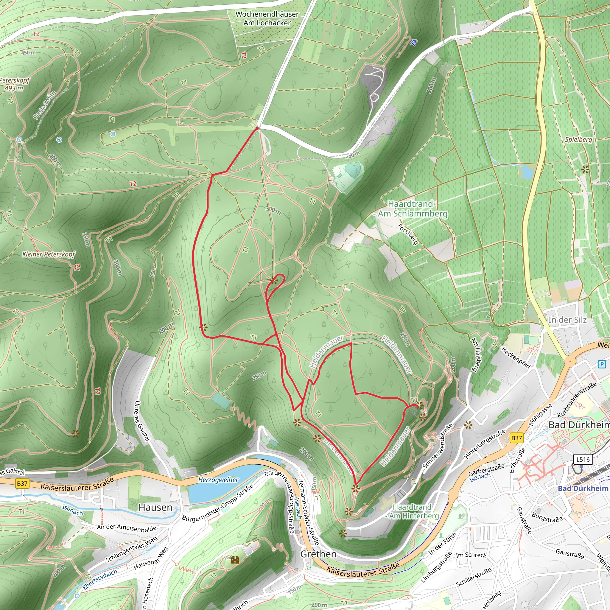 Ricardus Blick, Teufelsstein and Brunholdisstuhl Loop mobile static map