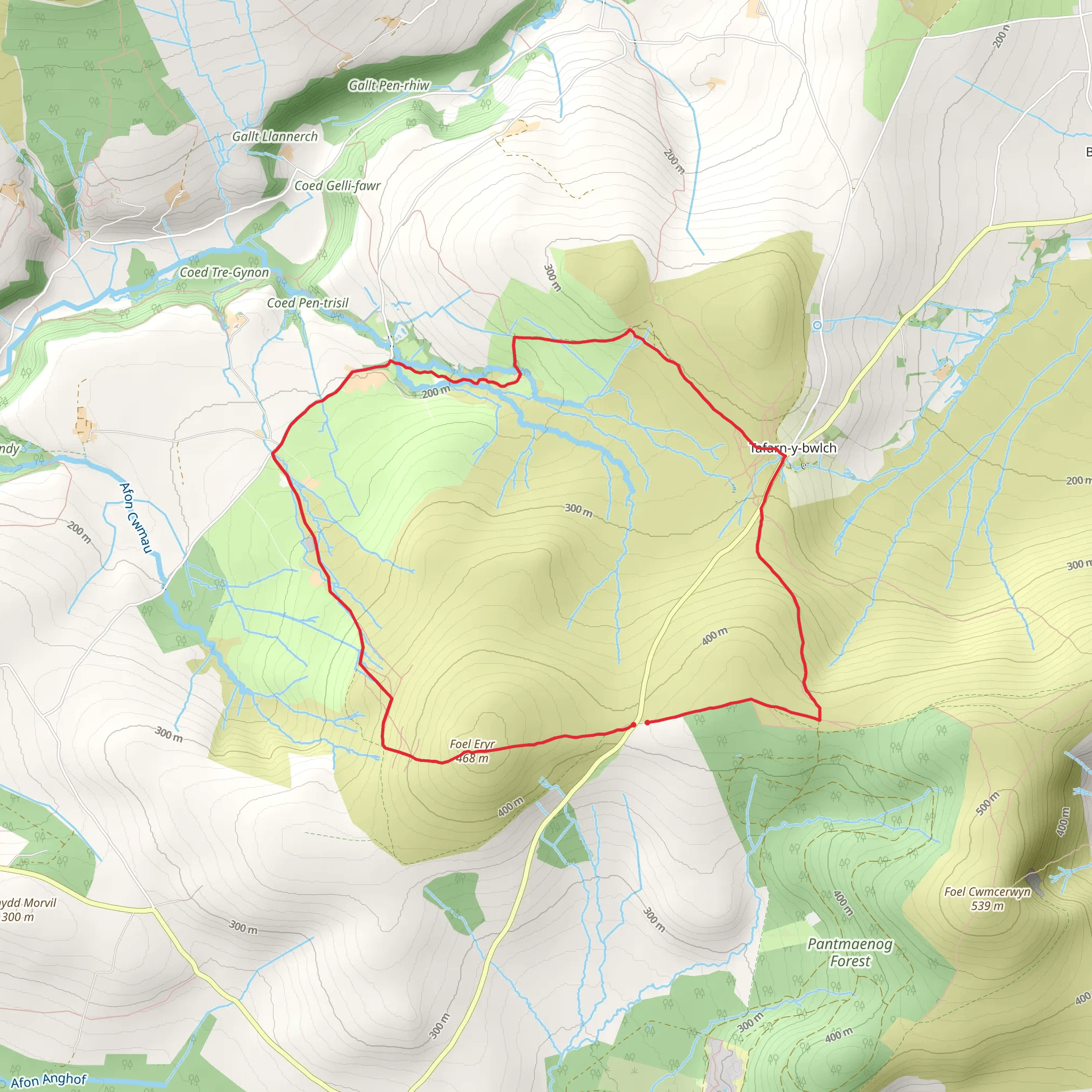 Foel Eryr mobile static map