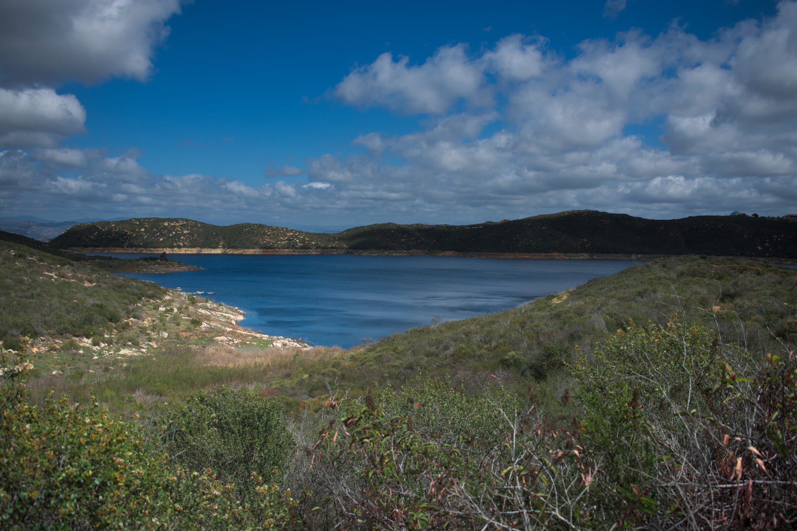 An image depicting the trail Olivenhain Reservoir - Way Up Trail and its surrounding area.
