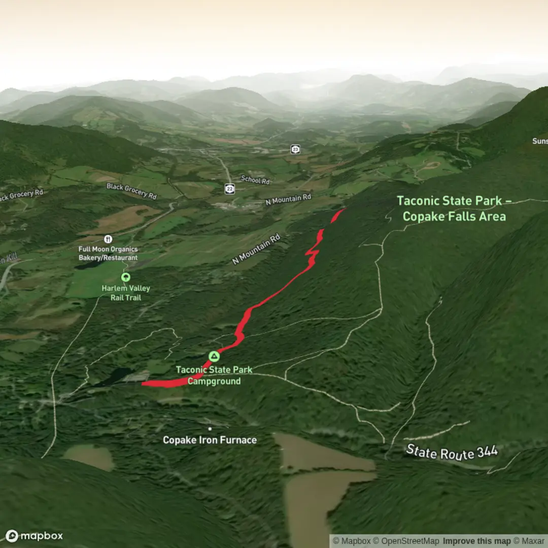 An image depicting the trail Wood Thrush Trail and its surrounding area.
