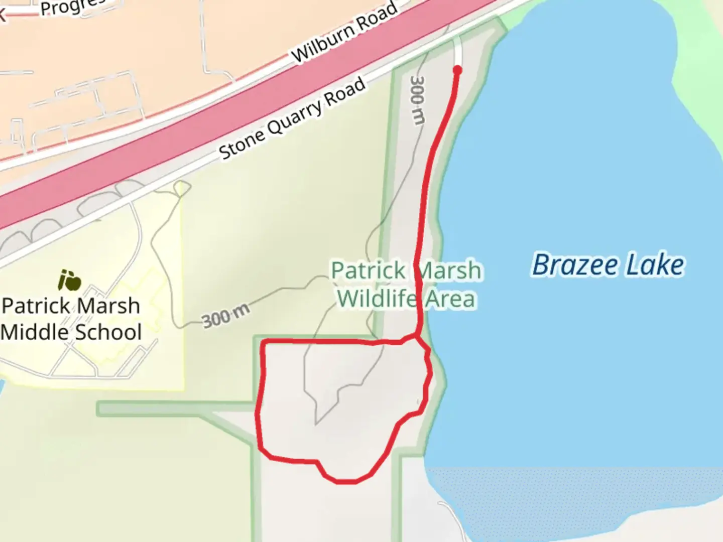 An image depicting the trail Brazee Lake Westside Loop and its surrounding area.