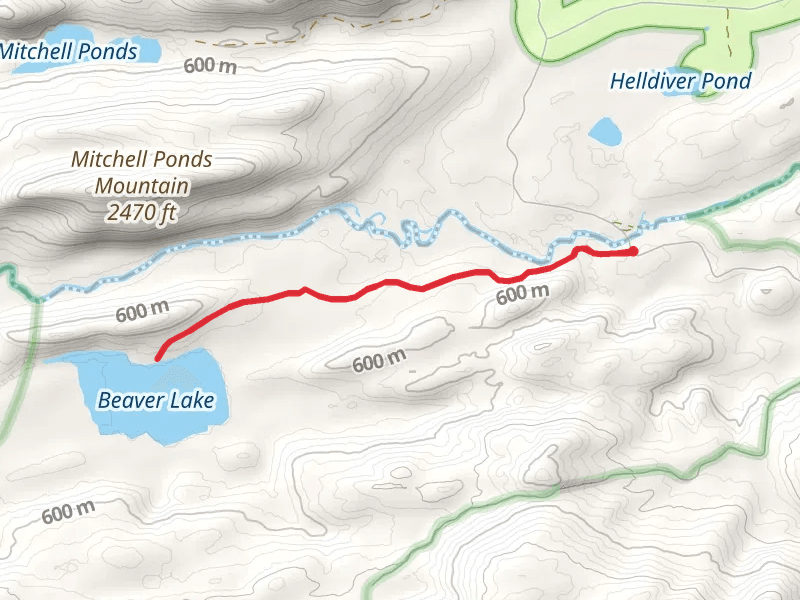 Beaver Lake Trail via Otter Brook Road
