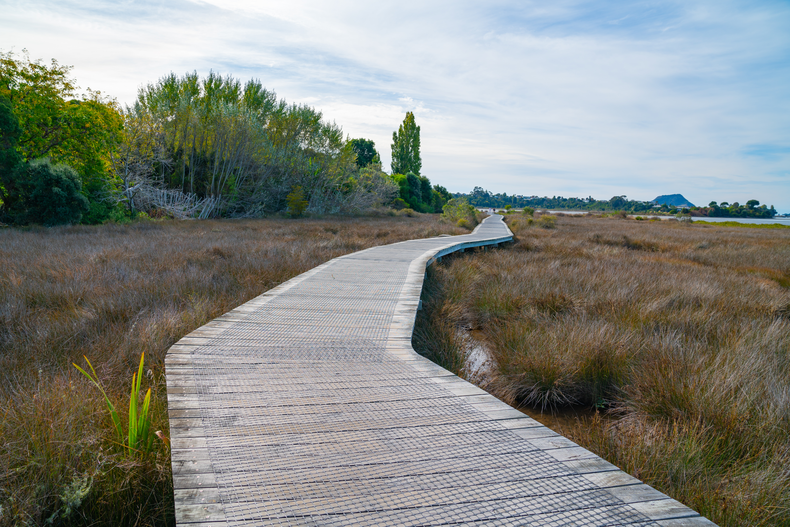 An image depicting the trail Waikareo Estuary Walkway Loop and its surrounding area.