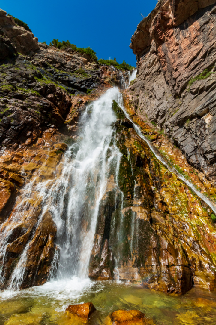 An image depicting the trail Apikuni Falls Trail and its surrounding area.