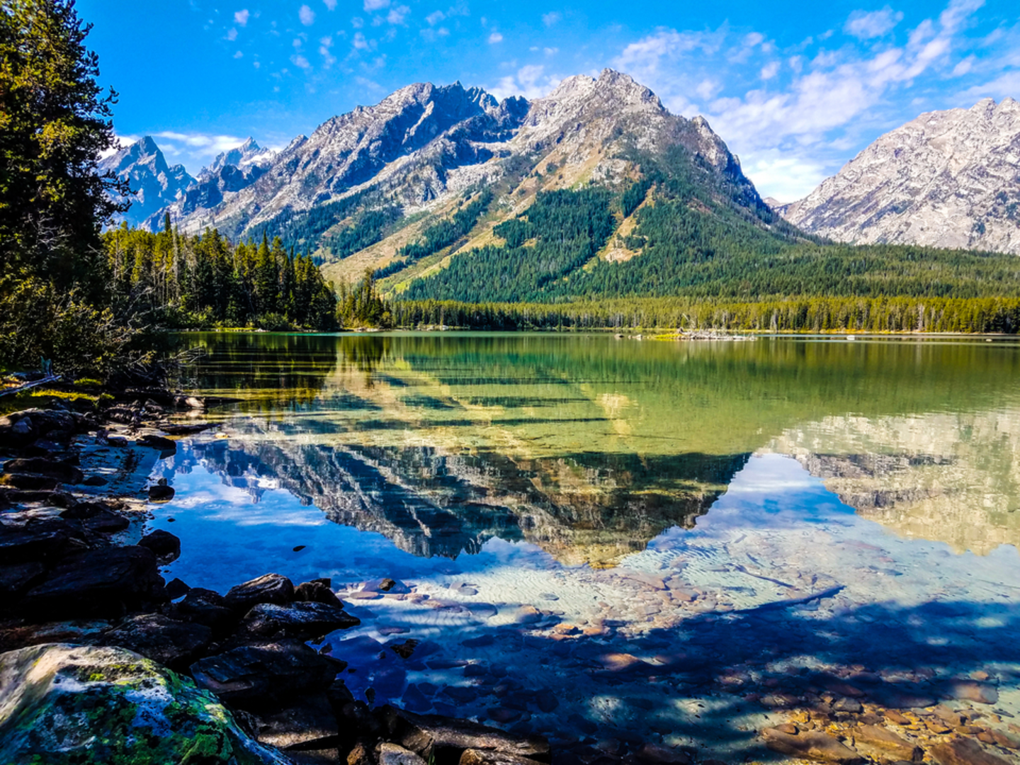 An image depicting the trail Holly Lake Trail and its surrounding area.