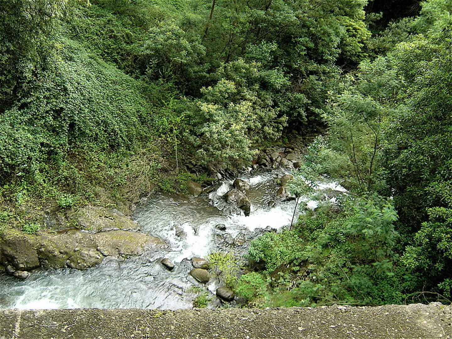 An image depicting the trail Levada dos Tornos Waterfalls and its surrounding area.