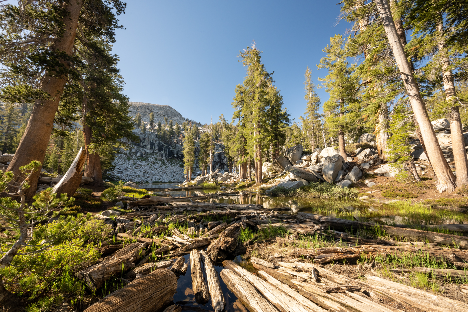 An image depicting the trail The Watchtower, Heather Lake and Pear Lake Walk and its surrounding area.