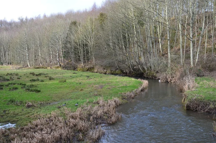 Hirsel Estate Loop