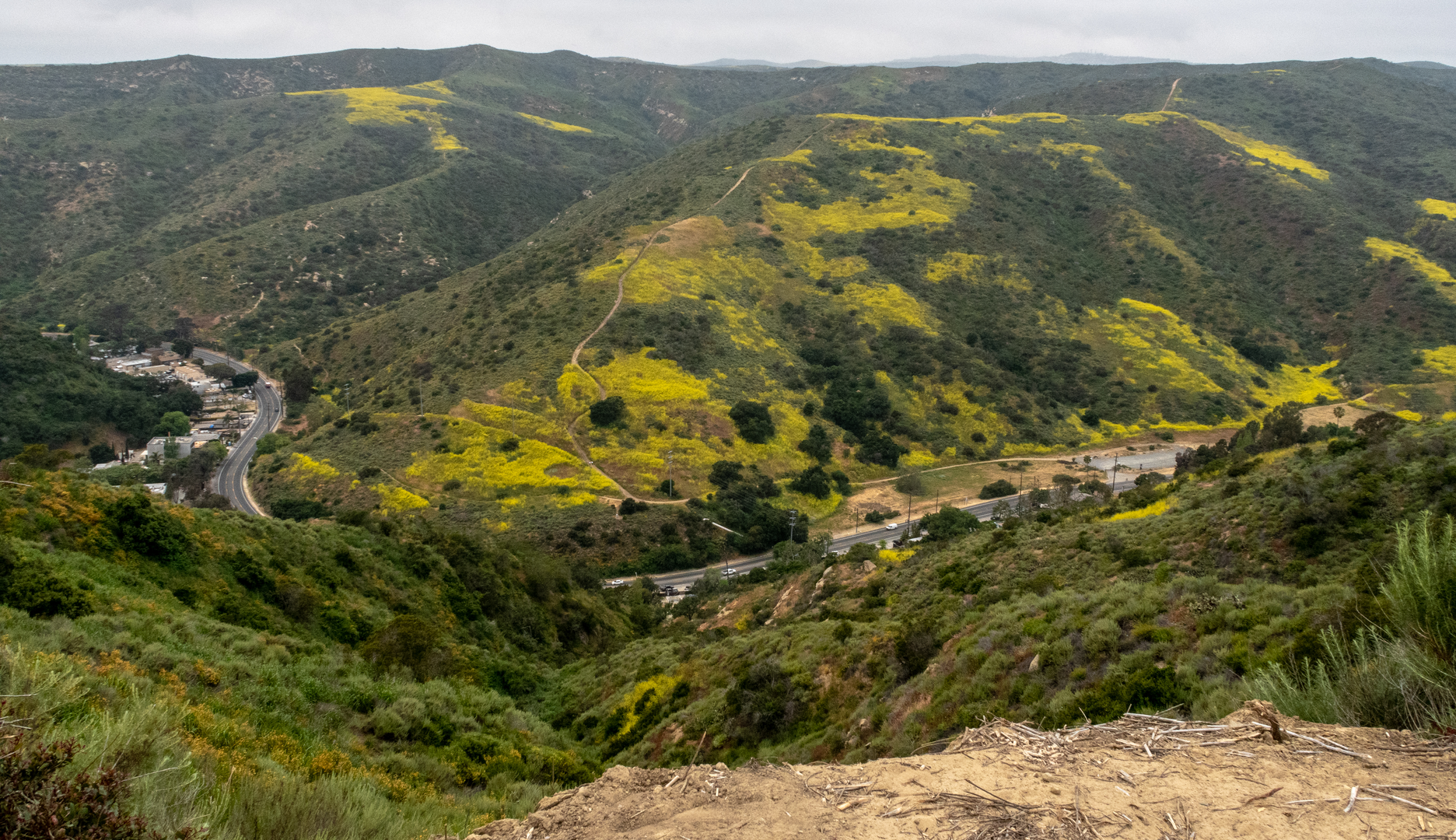 An image depicting the trail Top of the World Trail and Sheep run Loop Trail and its surrounding area.