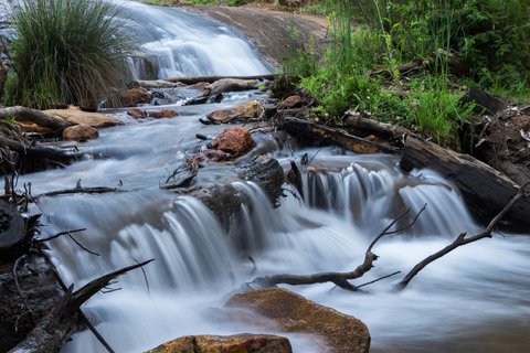 King Jarrah Walk