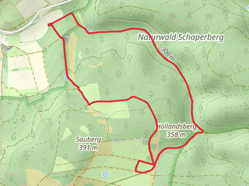 Buchennaturwald Mit Harzblick and Alte Kulturlandschaften