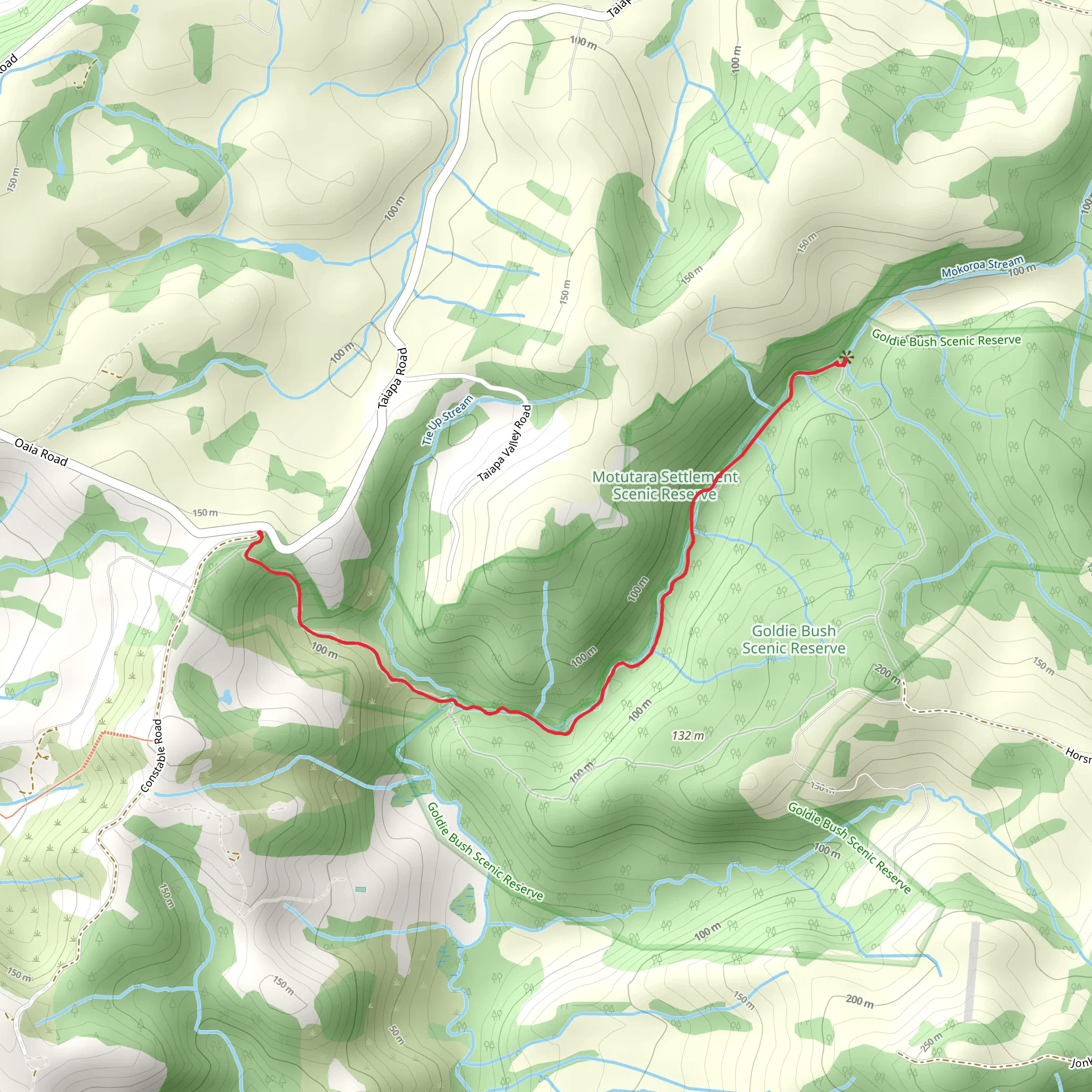 Mokoroa Stream Track mobile static map