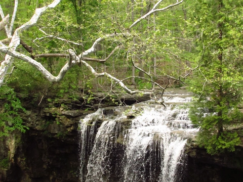 Charleston Falls in Charleston Falls Preserve Loop