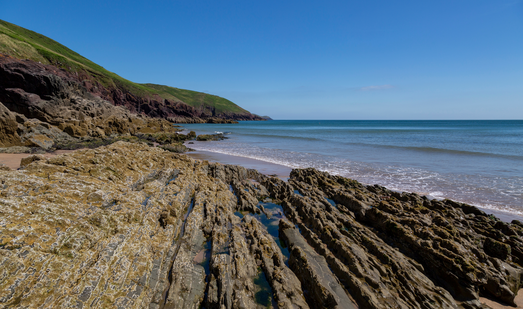 An image depicting the trail Freshwater East - Short Walk and its surrounding area.