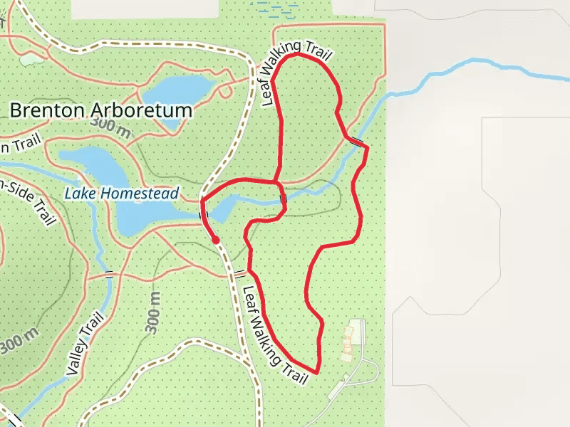 Leaf Walking Loop Trail