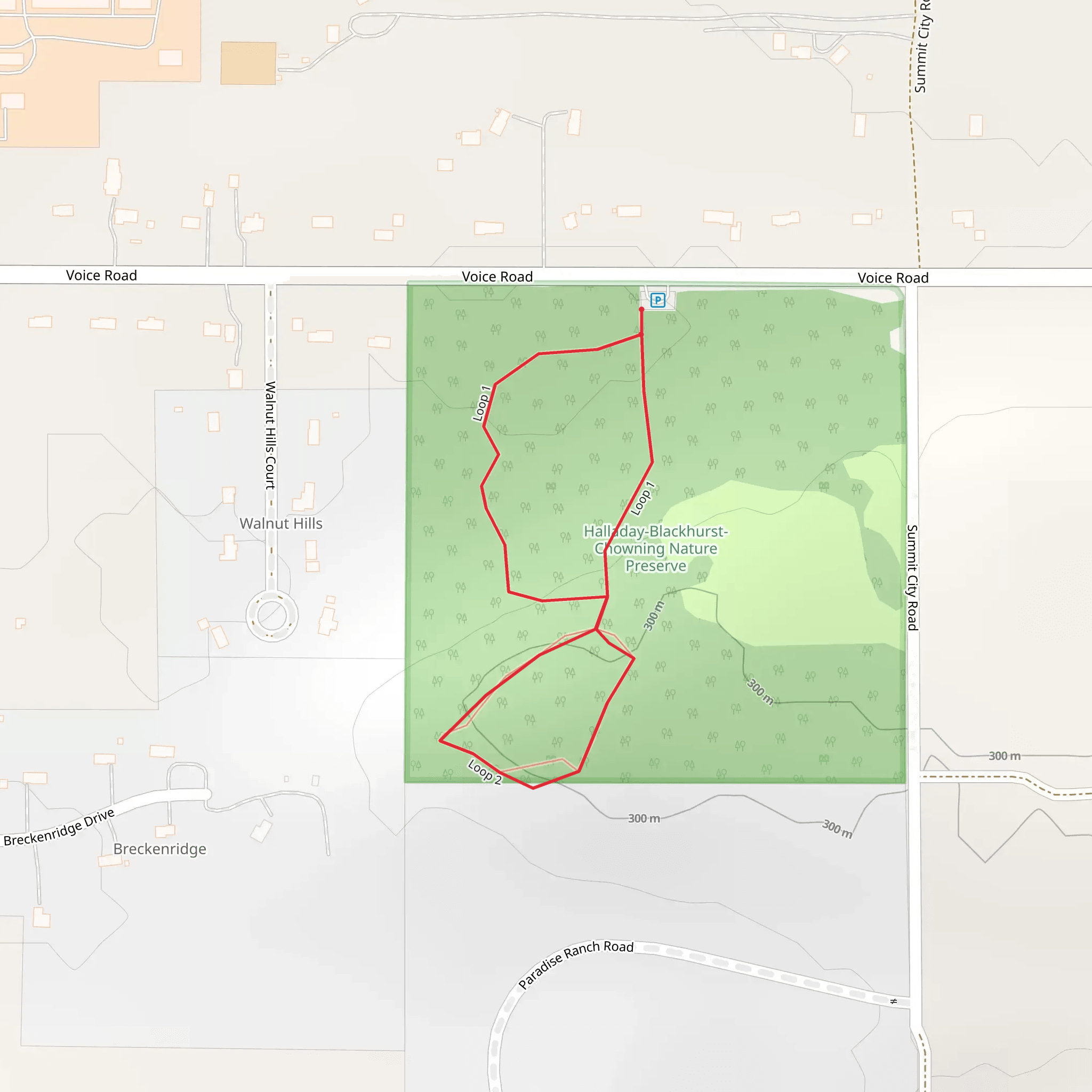 Voice Road Loop mobile static map
