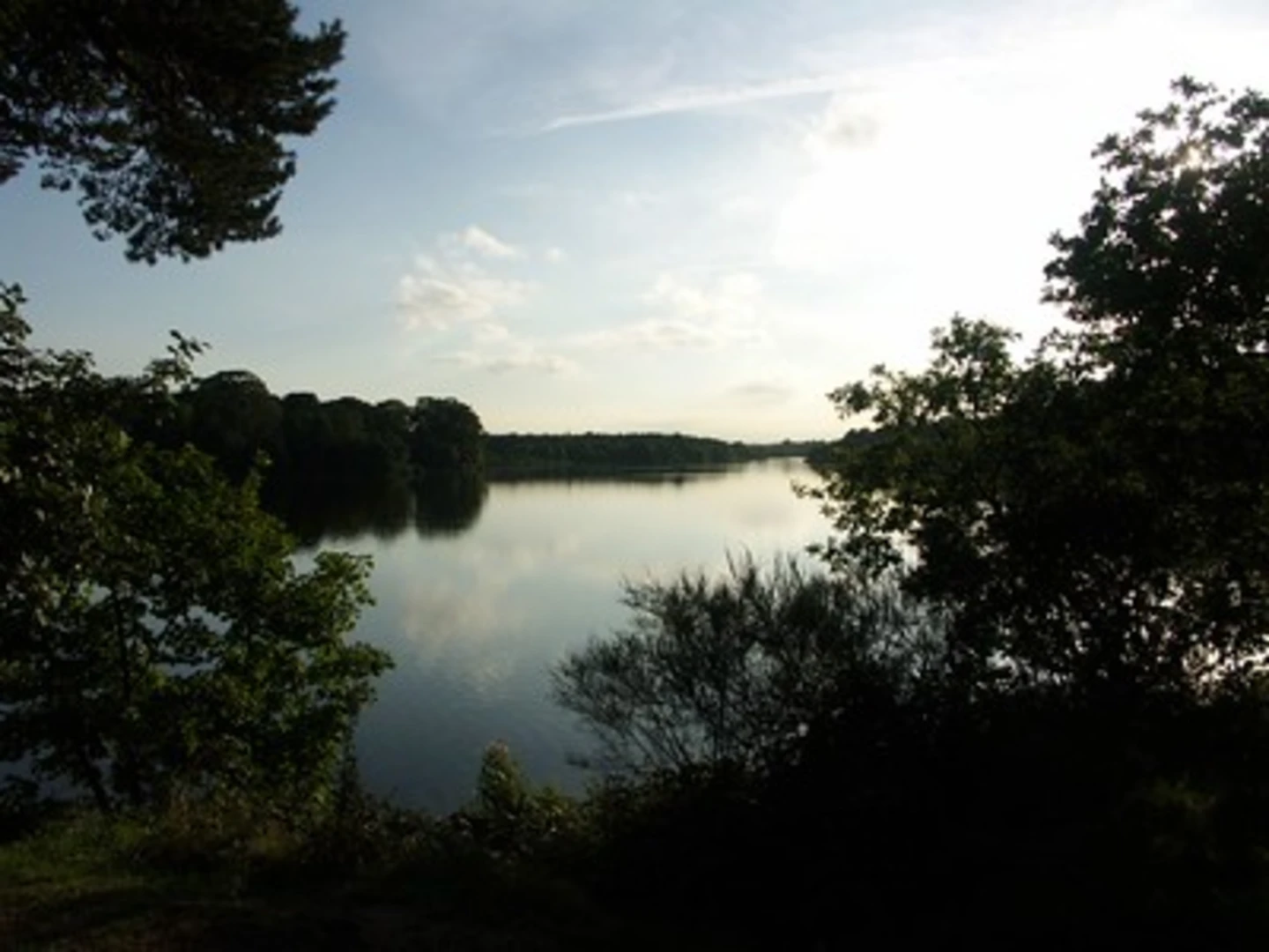 An image depicting the trail Clumber Lake Loop and its surrounding area.