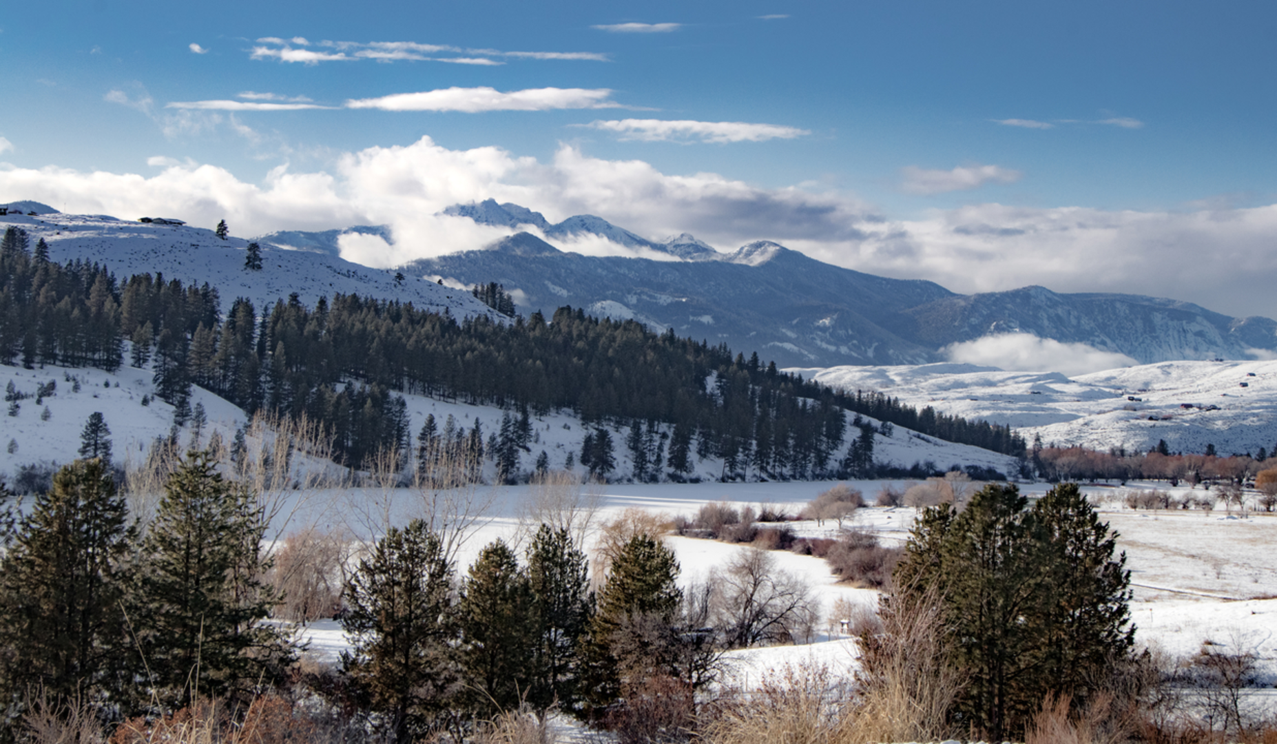 An image depicting the trail Pearrygin Creek Trail and its surrounding area.