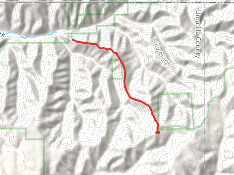Indian Ridge Trail - Short