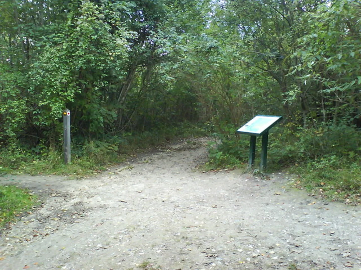 An image depicting the trail EWell East to Westhumble Walk and its surrounding area.