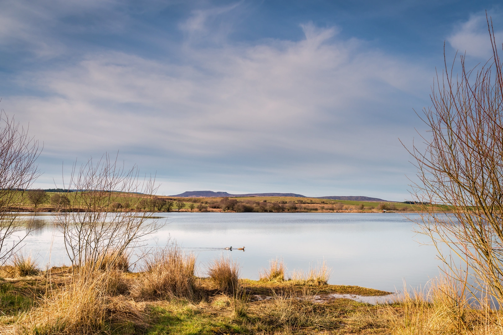 An image depicting the trail Greenleighton Moor Walk and its surrounding area.