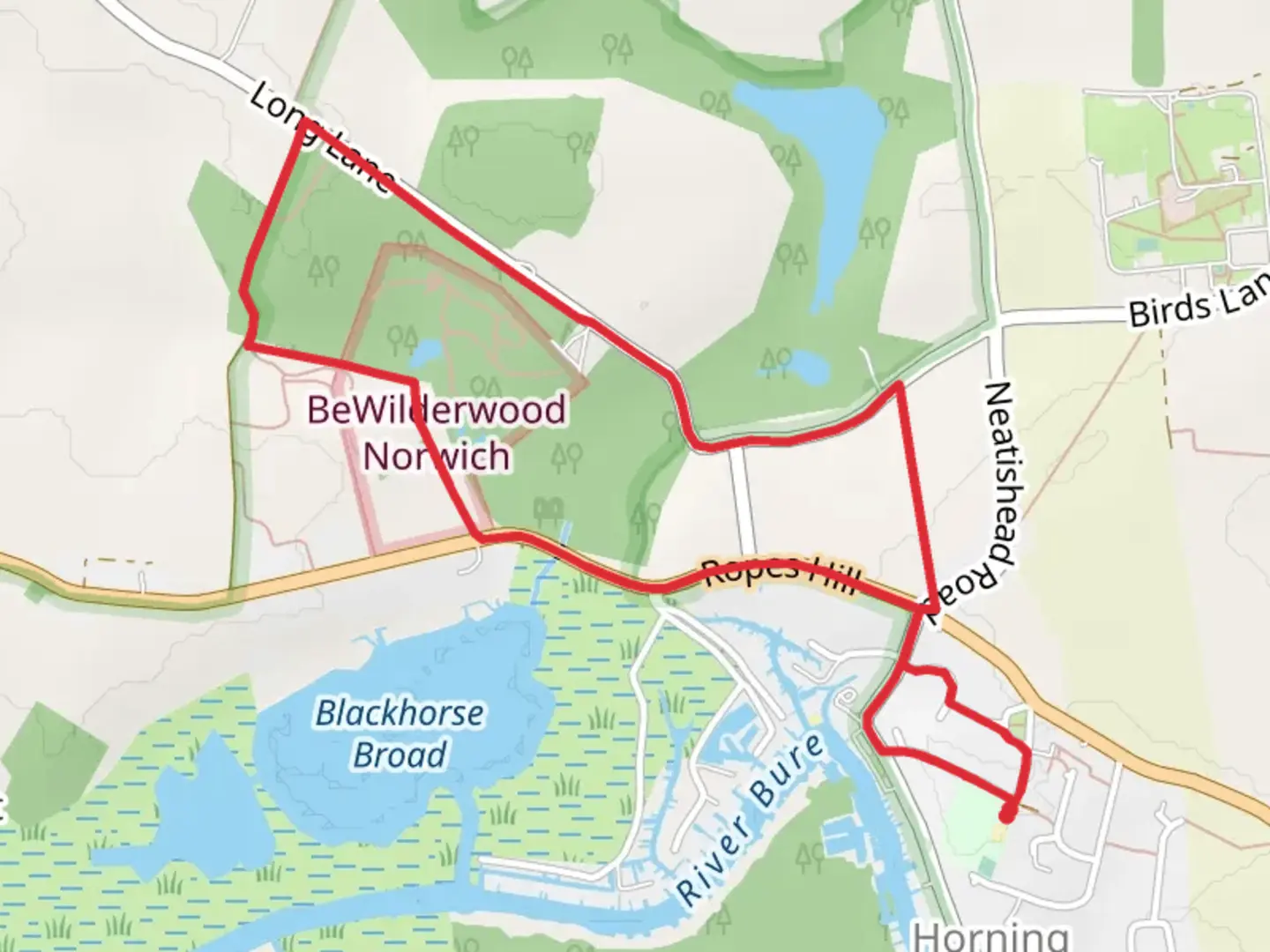 An image depicting the trail Hornign Loop and its surrounding area.