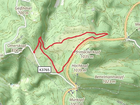 Wiedelager and Schwarzwaldhochstr Loop