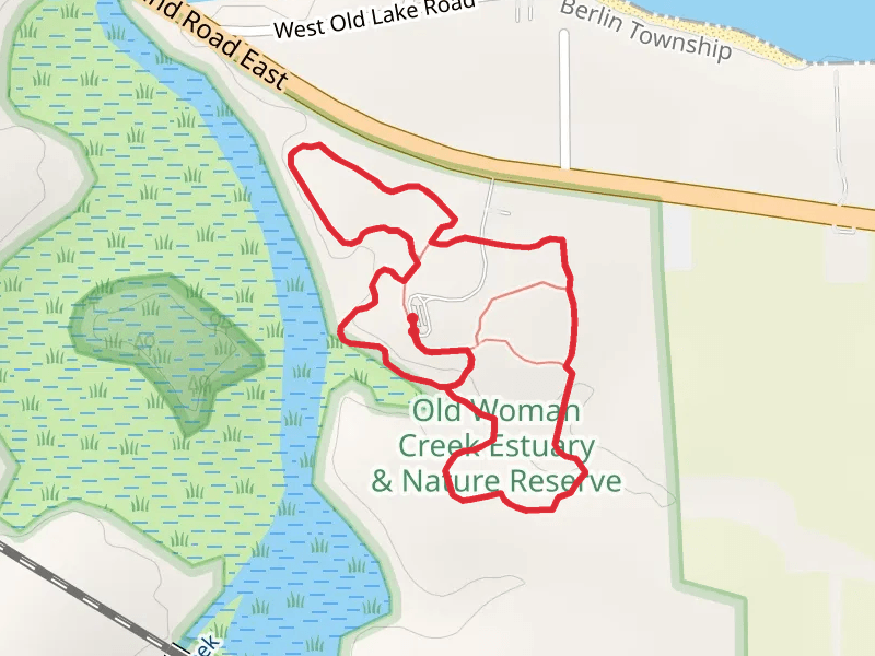 Estuary Overlook Trail and Early Successional Access Loop