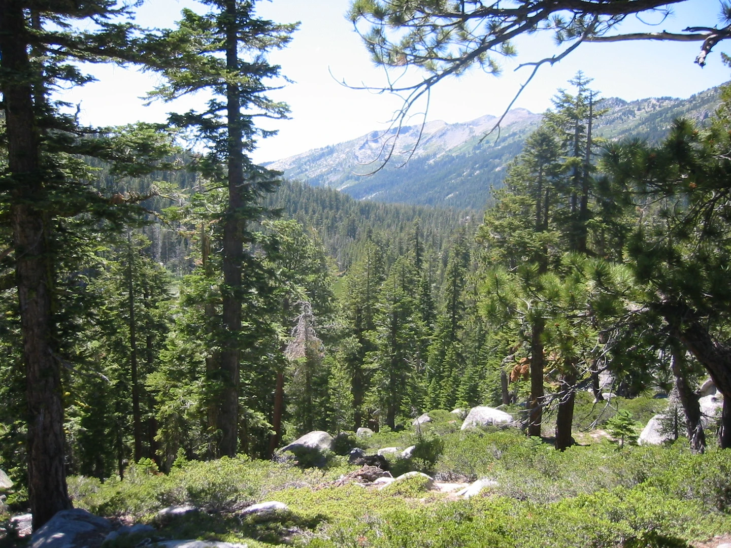 An image depicting the trail Red Lake to Lake Audrian via PCT and its surrounding area.