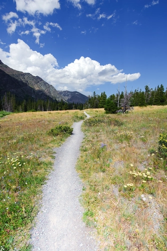 The Beaten Path