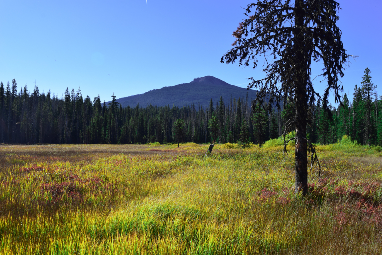 An image depicting the trail Double Peaks via Red Lake Trail and its surrounding area.