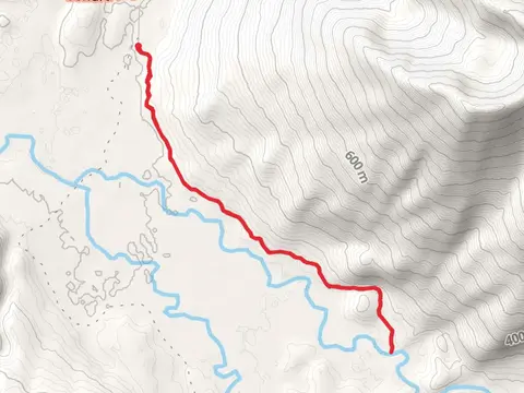 Center Creek via Johnson Pass Trail