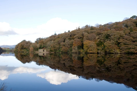 Glenshelane - Grotto Walk