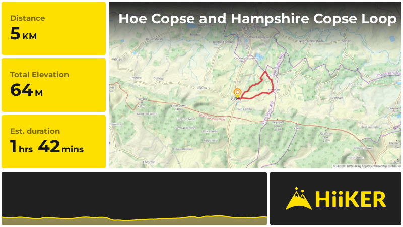 Hoe Copse and Hampshire Copse Loop | West Sussex | England