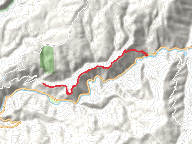 Fiddle Creek Ridge Trail