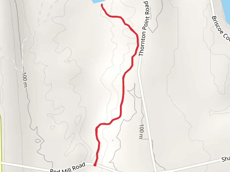 Red Mill Road to Sodus Bay Trail